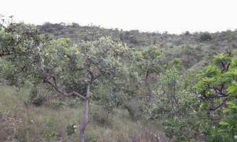 Imagem: Chácaras de 20.000m² com nascente, Jaboticatubas(Temos