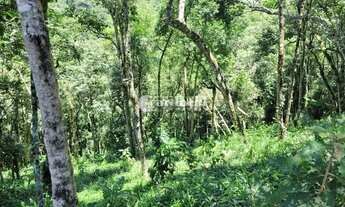 Imagem 6: Santo Antônio do Pinhal - Terreno Padrão - 5 Km do Centro