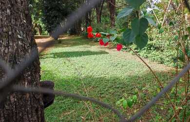Imagem 7: Lote/Terreno para venda tem 300 metros quadrados em Alvorada Industrial - São Joaquim de B