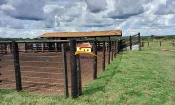 Imagem 5: Fazenda para Venda em Gurupi, Área Rural de Gurupi