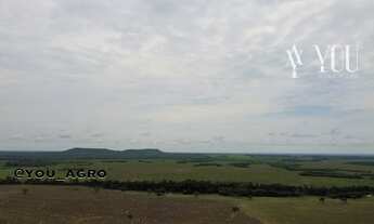 Imagem: Fazenda no Município do Peixe-Tocantins