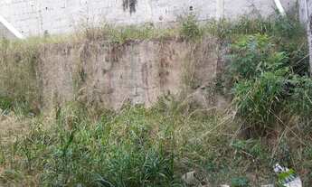 Imagem 7: VENDO TERRENO 200m³ COM CASA ANTIGA CAPÃO REDONDO ( VI669