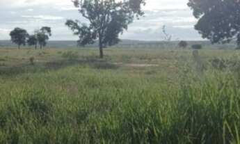 Imagem: FAZENDA DE 42 ALQUEIRES 20 KM DE COLNIZA