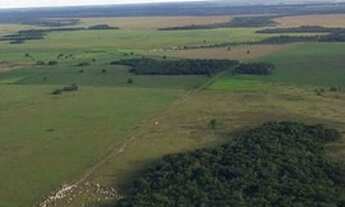 Imagem 3: Fazenda/Sítio/Chácara para venda com 33 metros quadrados com 10 quartos