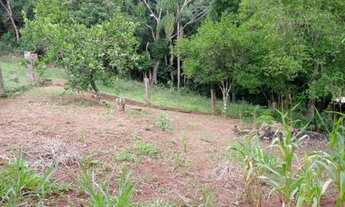 Imagem 6: Ótima oportunidade de ficar com essa chácara, prontinha para morar, localizada em Taquara