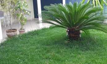 Imagem 3: Casa com 4 dormitórios à venda, 250 m² por R$ 499.999,99 - Jardim Europa - Teixeira de Fre