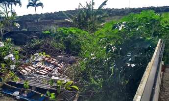 Imagem 5: Terreno murado dentro do Thermas Clube