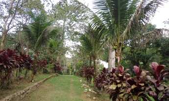 Imagem 2: Fazenda/Sítio/Chácara para venda com 200 metros quadrados com 4 quartos