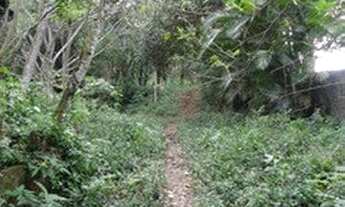 Imagem 3: Vargem Grande Terreno de 14.700m2 RGI individual