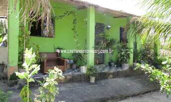 Imagem 7: Caetano Imóveis - Chácara com muitas árvores frutíferas produzindo (Acesso asfaltado