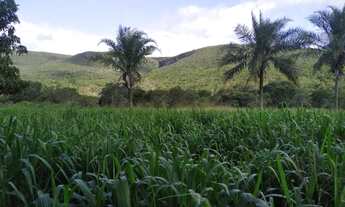 Imagem 7: Fazenda Iramaia Ba. 5 mil hectares chapada