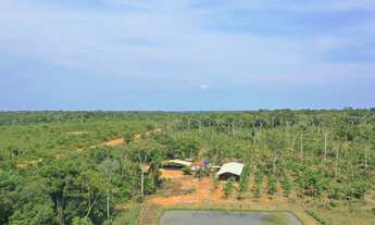 Imagem 4: SÍTIO BR-230 SENT. LABREA CANUTAMA-AMAZONAS