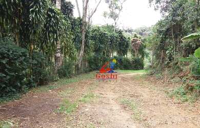 Imagem 7: Terreno à venda, 5200 m² por R$ 250.000,00 - Fazenda Boa Fé - Teresópolis/RJ