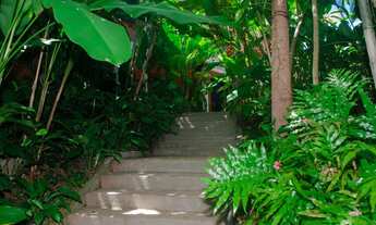 Imagem 6: Casa espetacular no Jardim Botânico