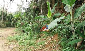 Imagem 3: Terreno à venda, 5200 m² por R$ 250.000,00 - Fazenda Boa Fé - Teresópolis/RJ