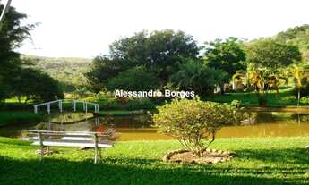 Imagem 2: Rural de 217800 metros quadrados no bairro Japuiba com 4 quartos