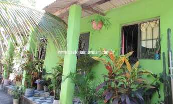 Imagem 3: Caetano Imóveis - Chácara com muitas árvores frutíferas produzindo (Acesso asfaltado