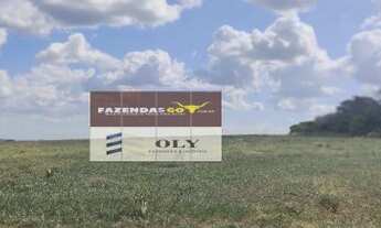 Imagem 6: Fazenda Extra ! Região de Paraúna - GO ! 113 Alqueires ! Oportunidade !