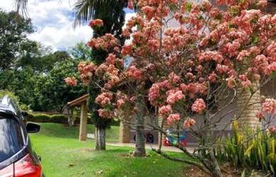 Imagem 6: Chacara em Condomínio fechado Boituva