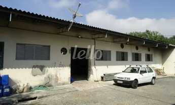 Imagem 4: São Paulo - Terreno Padrão - Vila Prudente