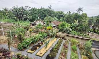 Imagem 5: Joinville - Casa Padrão - São Marcos