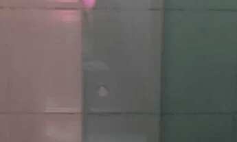 Imagem 3: Excelente casa em condomínio fechado no parque estrela Dalva Ix