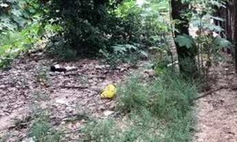 Imagem 2: Casa 15mil pra vender logo valor acessível mais informações chama no WhatsApp