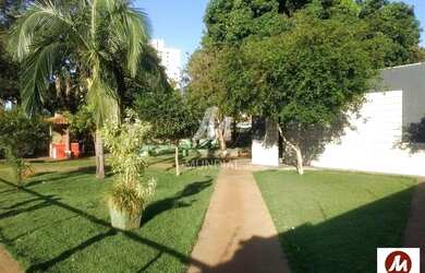 Imagem 3: Apartamento (tipo - padrao) 2 dormitórios, cozinha planejada, portaria 24hs, lazer, em con