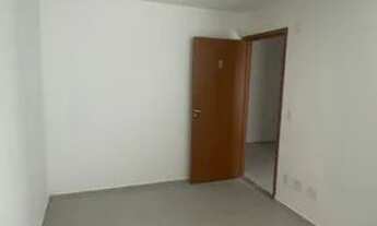 Imagem 2: Vista das copaiba