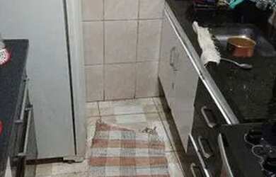 Imagem 2: Casa Casa com 2 dormitórios