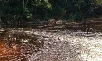 Imagem 6: Lote Amazon Acqua Park - Presidente Figueiredo
