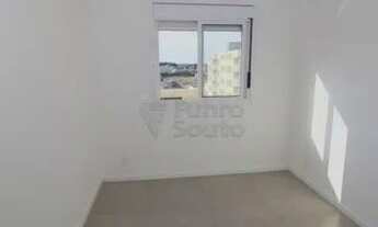 Imagem 7: Apartamento Padrão em Pelotas