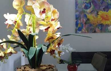 Imagem 5: Alugo flat com mobiliário, Aldeia das Águas, Barra do Piraí, para até 5 pessoas