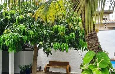 Imagem 4: Casa para venda com 225 m² com 3 suítes em Boa Esperança - Cuiabá - MT