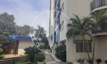 Imagem 3: Apartamento Padrão em Campinas