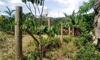 Imagem 2: Terreno para rancho (cabana) em Tapiraí sp sertão, são 3 mil metros maior parte mata