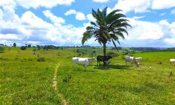 Imagem: Fazenda de 74 tarefas no entroncamento de