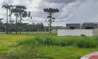 Imagem 3: 12x35 Tropical II 360mil chama whats aceito veiculos facilito financia banco