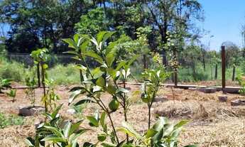 Imagem 4: CHÁCARA IGARAPÉ VARGINHA 1.210MTS