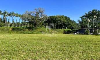 Imagem 2: Terreno | Chico de Paulo