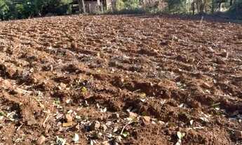 Imagem 7: 117715 CHACRINHA VÁRIAS FRUTÍFERAS, FIBRA ÓTICA, POÇO ARTESIANO, DUAS CASAS