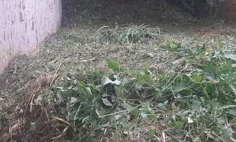 Imagem 3: Terreno parque raia