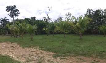 Imagem 6: Vendo ou troco por casa em Manaus