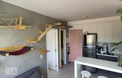 Imagem 3: Apartamento para Aluguel - Cambuci, 2 Quartos, 33 m2