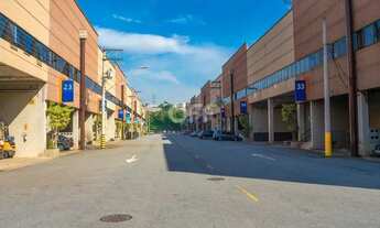 Imagem 5: Galpão - Parque São Domingos - São Paulo