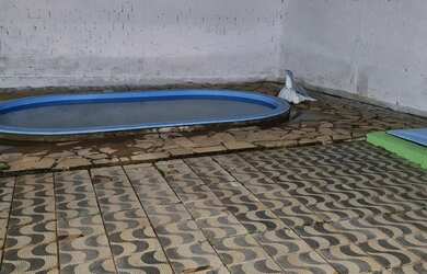 Imagem 5: G-Chácara Parreiral - Serra - ES