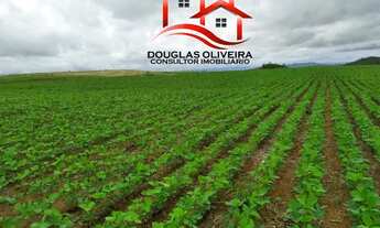 Imagem: Fazenda 392 Alqueires Região De Niquelândia/GO