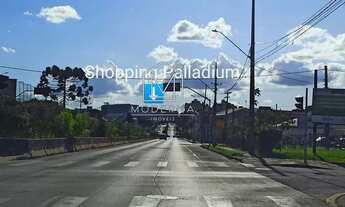 Imagem 7: EXCELENTE TERRENO