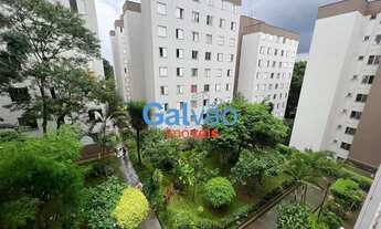 Imagem 6: Apartamento para alugar no bairro Jardim das Flores - São Paulo/SP, Zona Sul