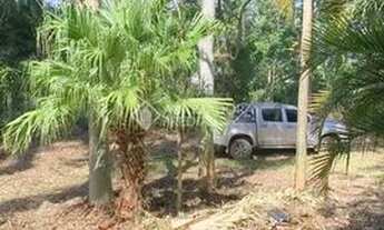 Imagem 7: GAROPABA - Terreno Padrão - Siriu